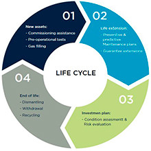 Cycle de Vie