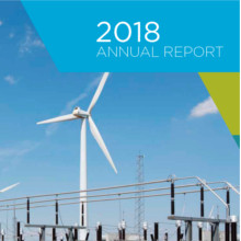 2018 Annual Report published